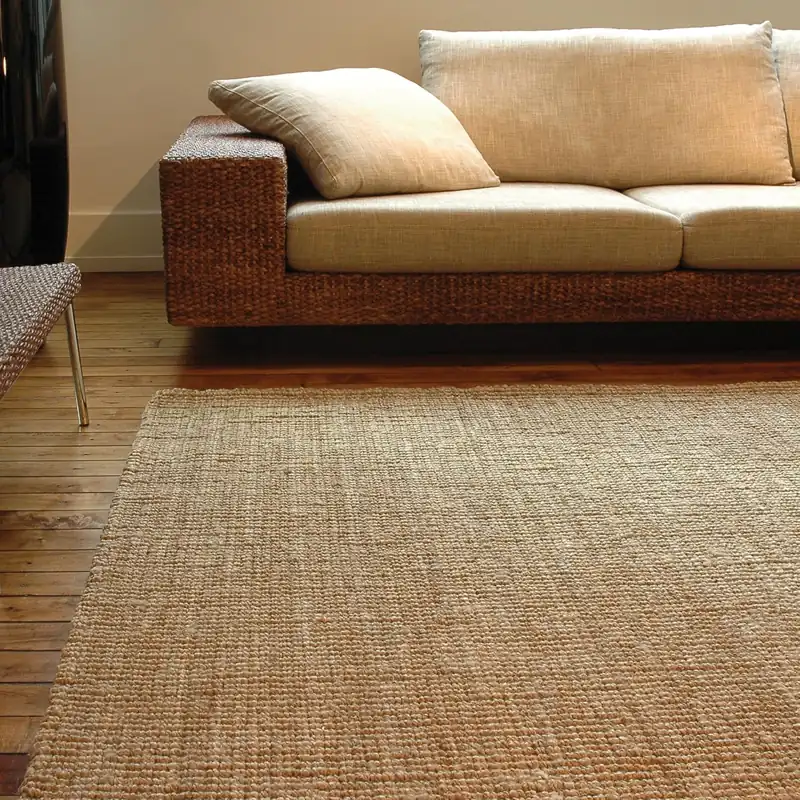 Natural fiber rug in a modern living room.