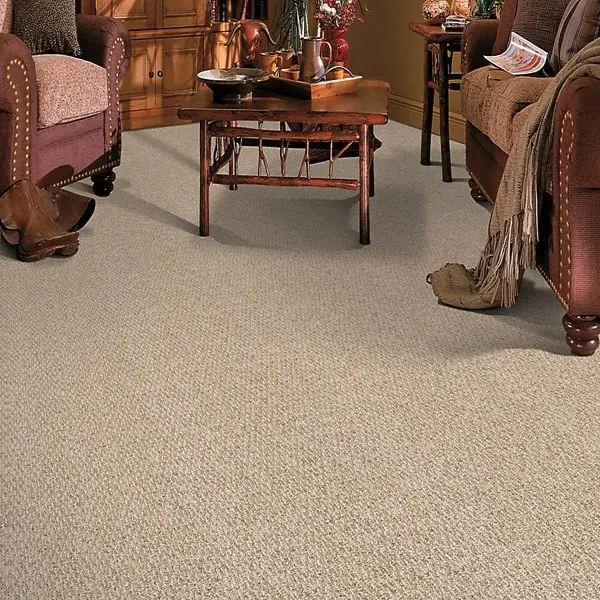 Neutral textured carpet in a cozy living area
